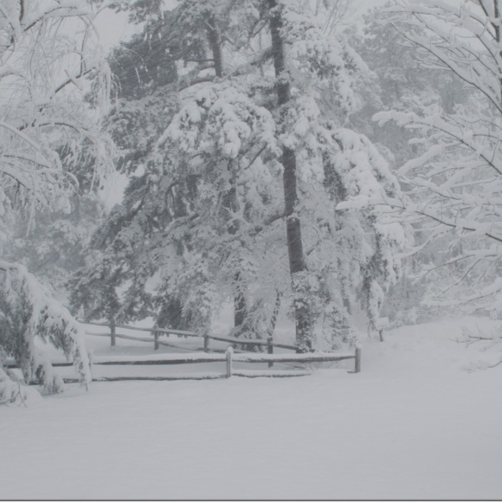 WINTER SNOW STORM SALE Make offers Coats, Mittens, Gloves, Hats, Boots &‎ Pants